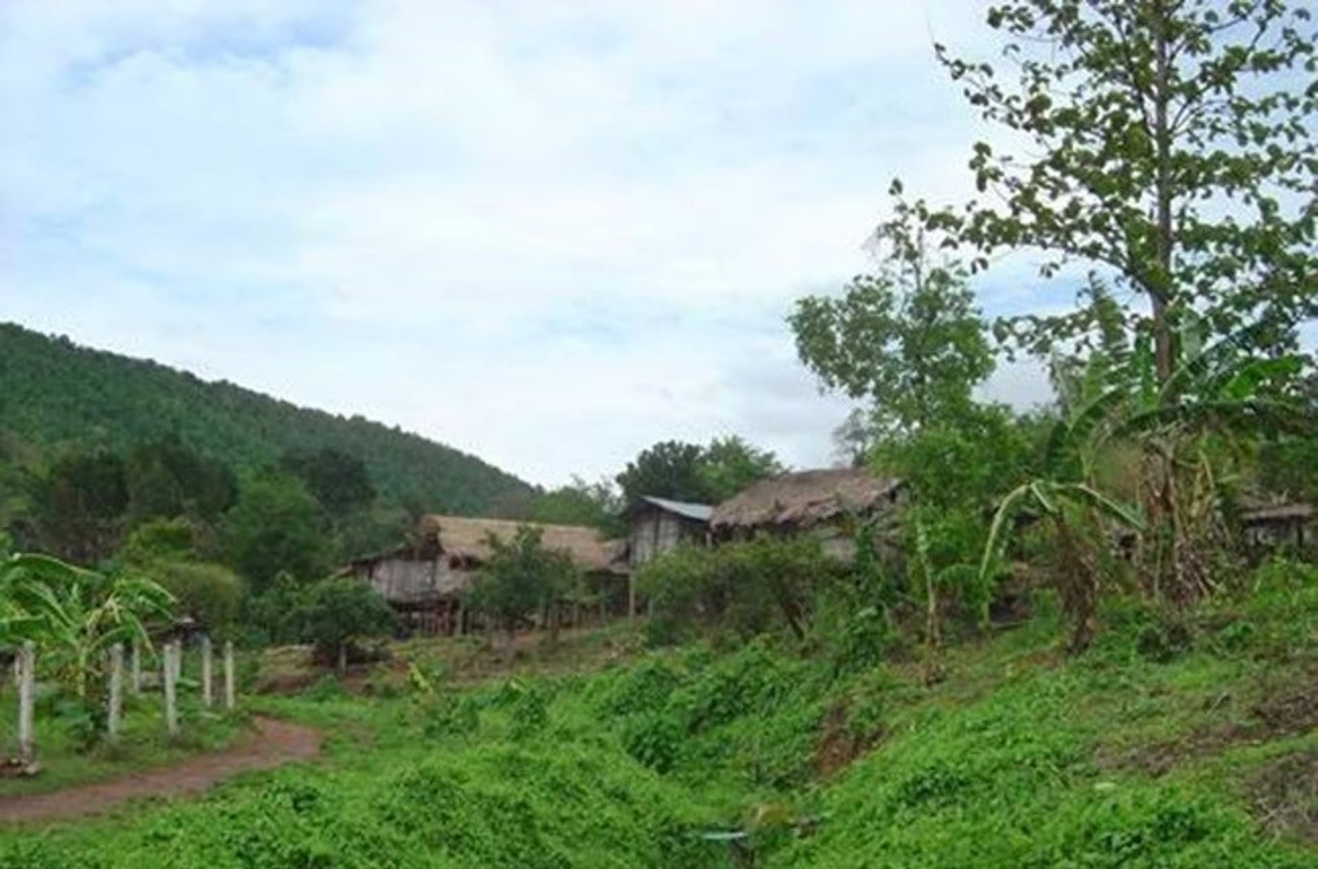  land 用于 出售 在 Mae Taeng District - Image 3