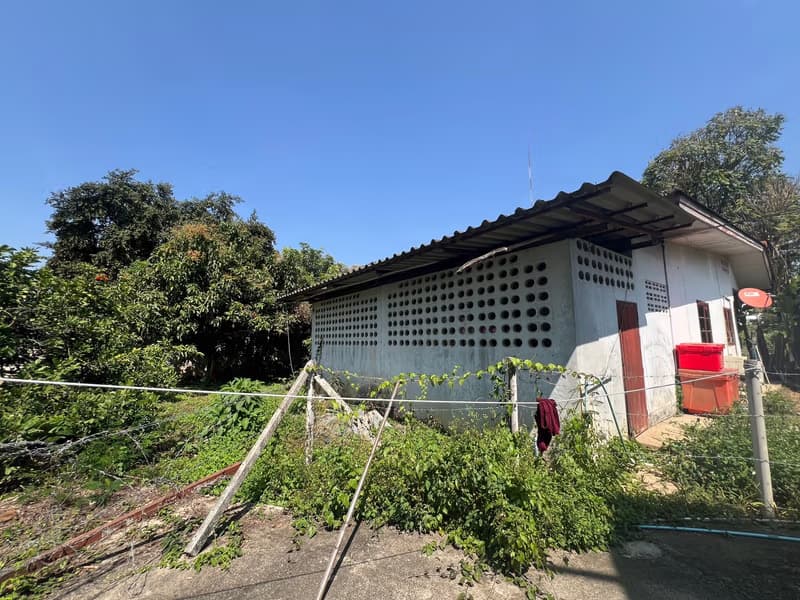 Land for Sale in Ki Lek, Mae Taeng