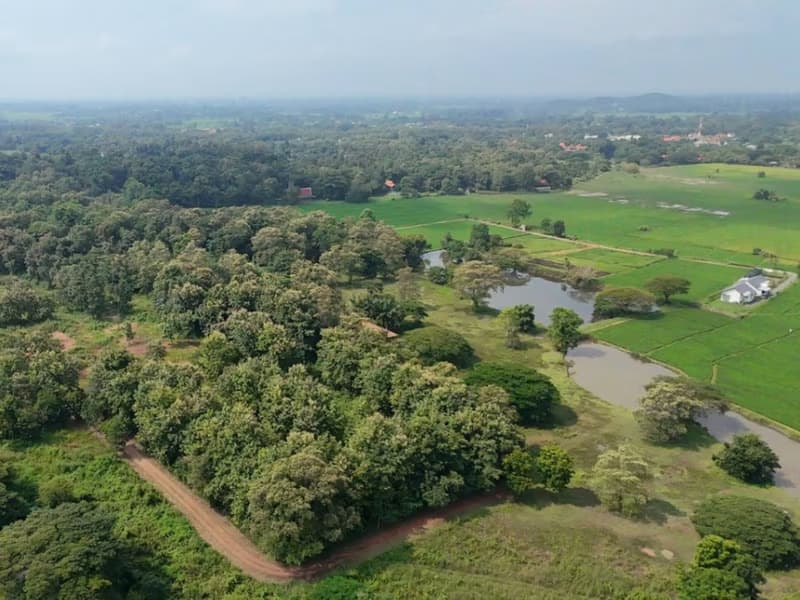  Land for Sale in Doi Saket District