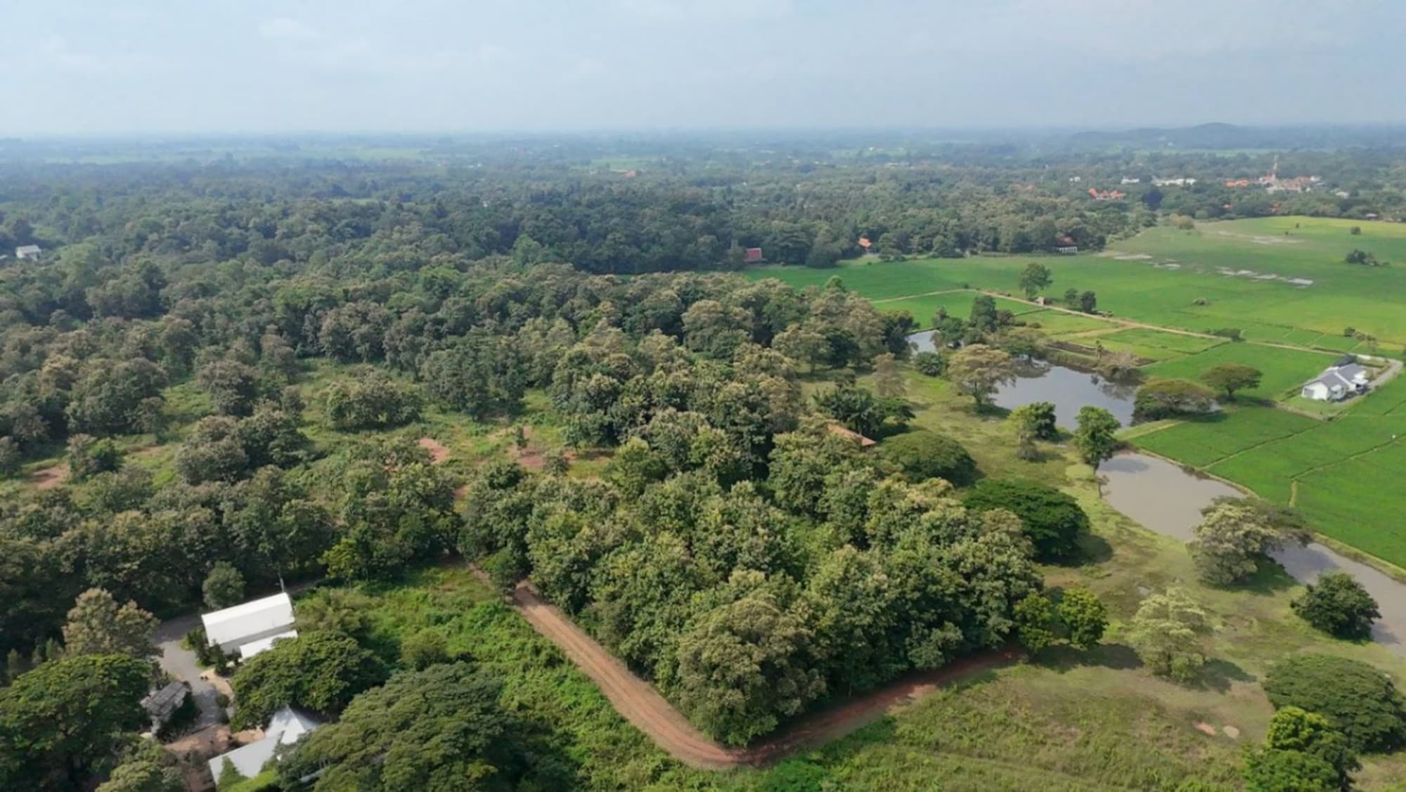  land สำหรับ ขาย ใน Doi Saket District - Image 1