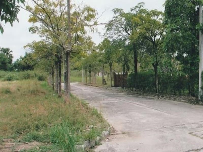  Land for Sale in Hang Dong