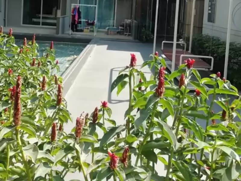 1 Bedroom Condo