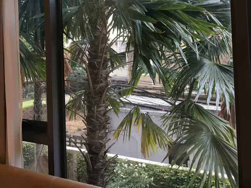 Mayfair Place Sukhumvit 50