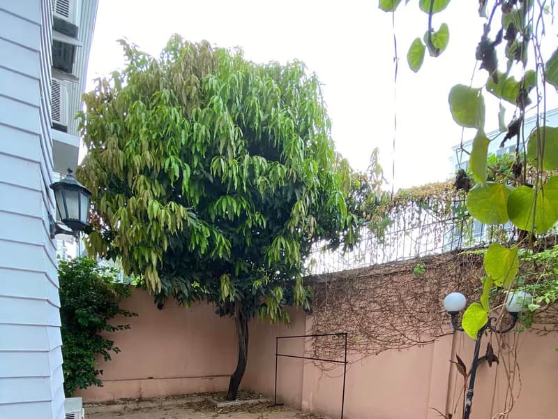 Townhouse for Sale, Rent at Fantasia Villa 2