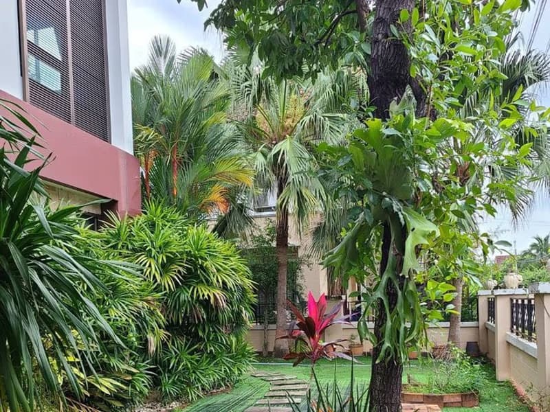House for Rent in Pa Bong, Saraphi.