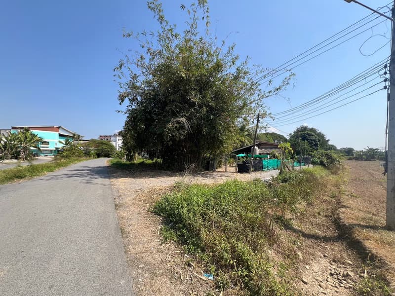 Land for Sale in Ki Lek, Mae Taeng