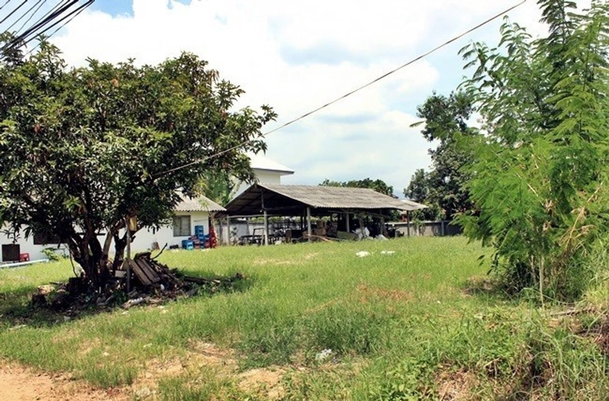  land 用于 出售 在 Pa Daet District - Image 6
