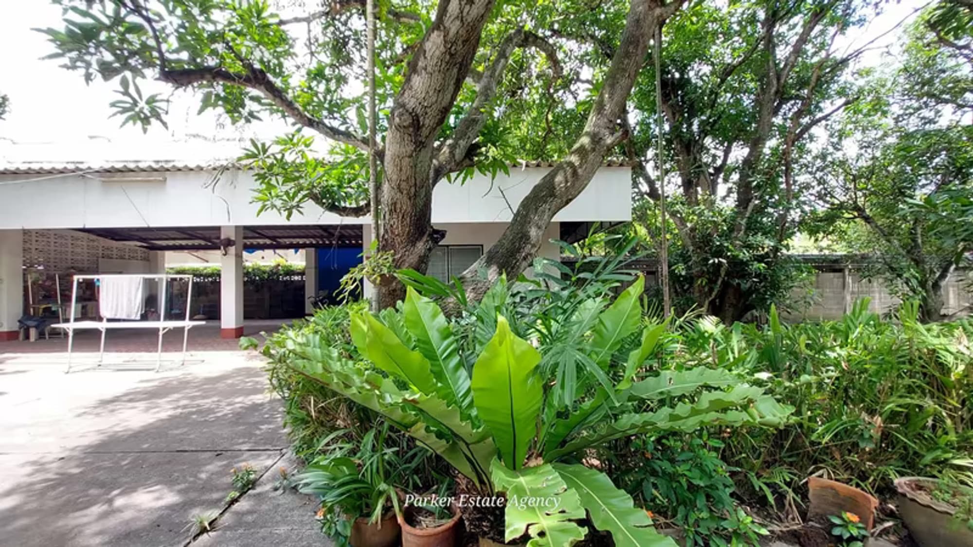  - Image 8
