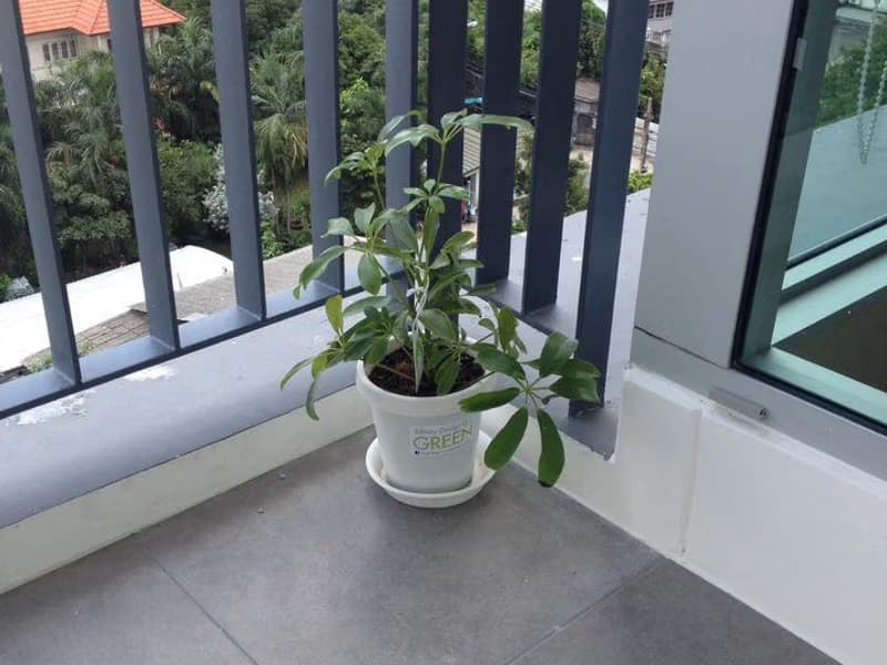 Condo for Sale at Aspire Sukhumvit 48