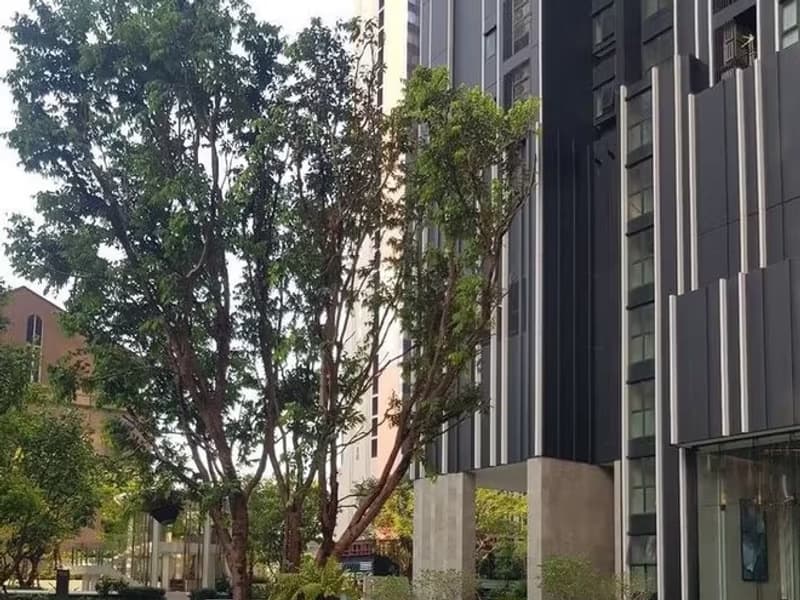  Life Asoke - Rama 9 
