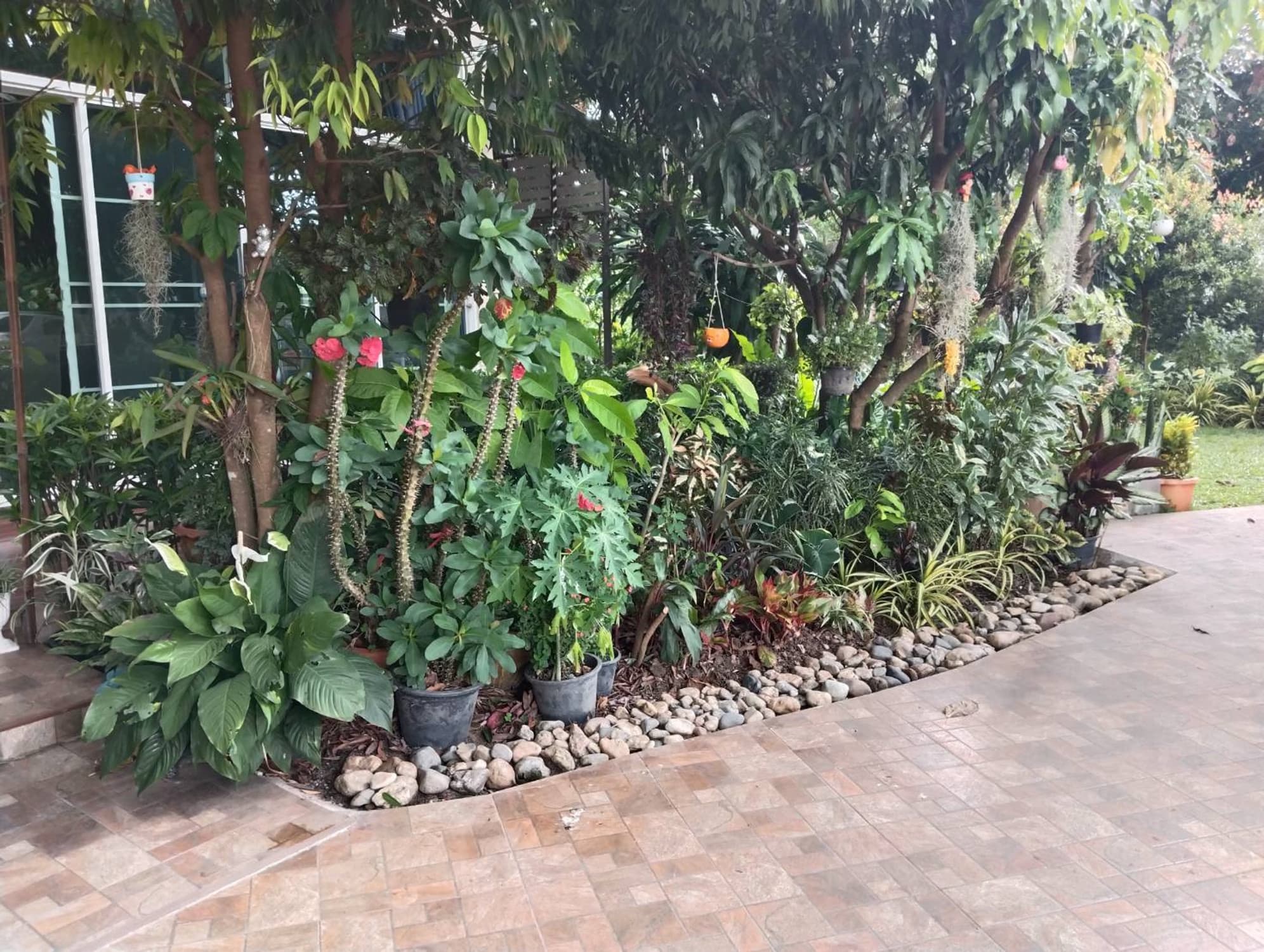 3 Bedroom House for Sale in Doi Saket - Image 24