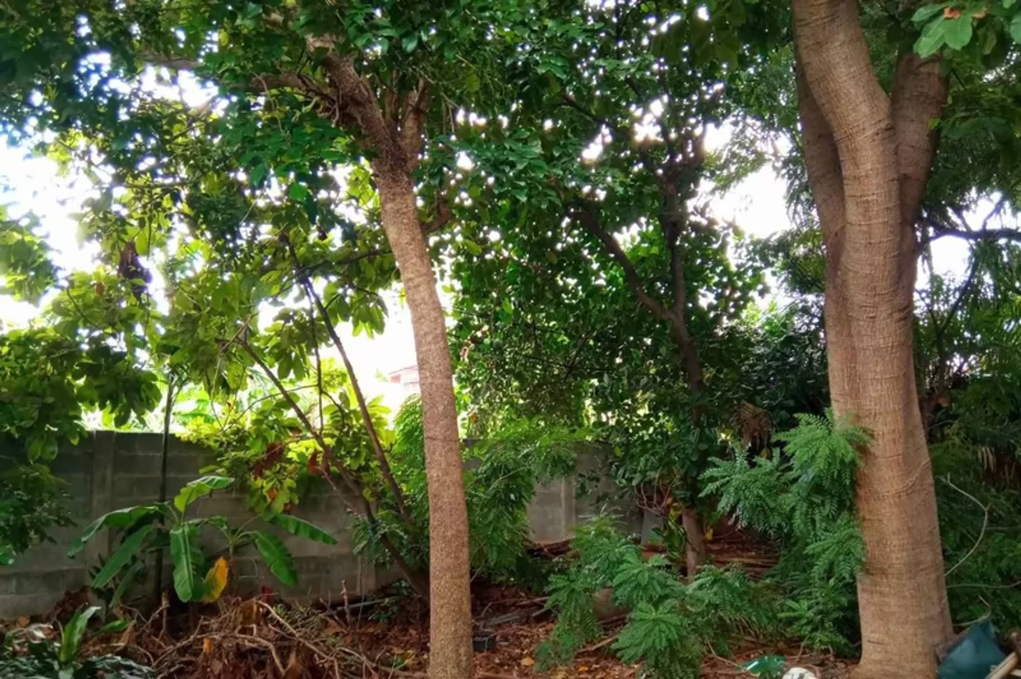 Land for Sale in Phra Khanong - Image 1