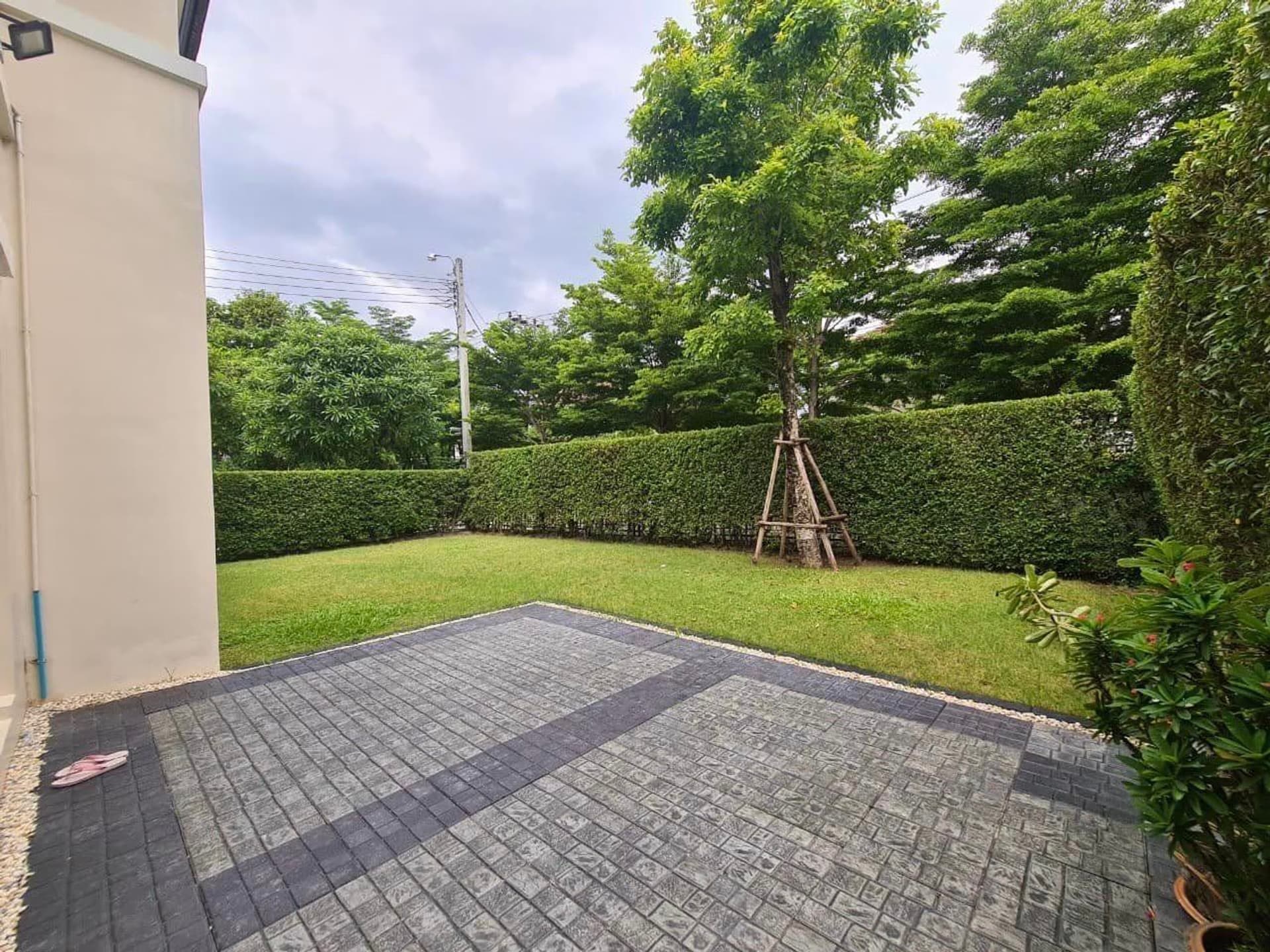  - Image 15