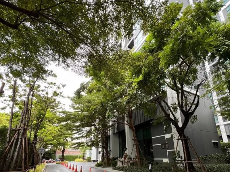 2 Bed Condo for Sale  Near Phra Khanong BTS