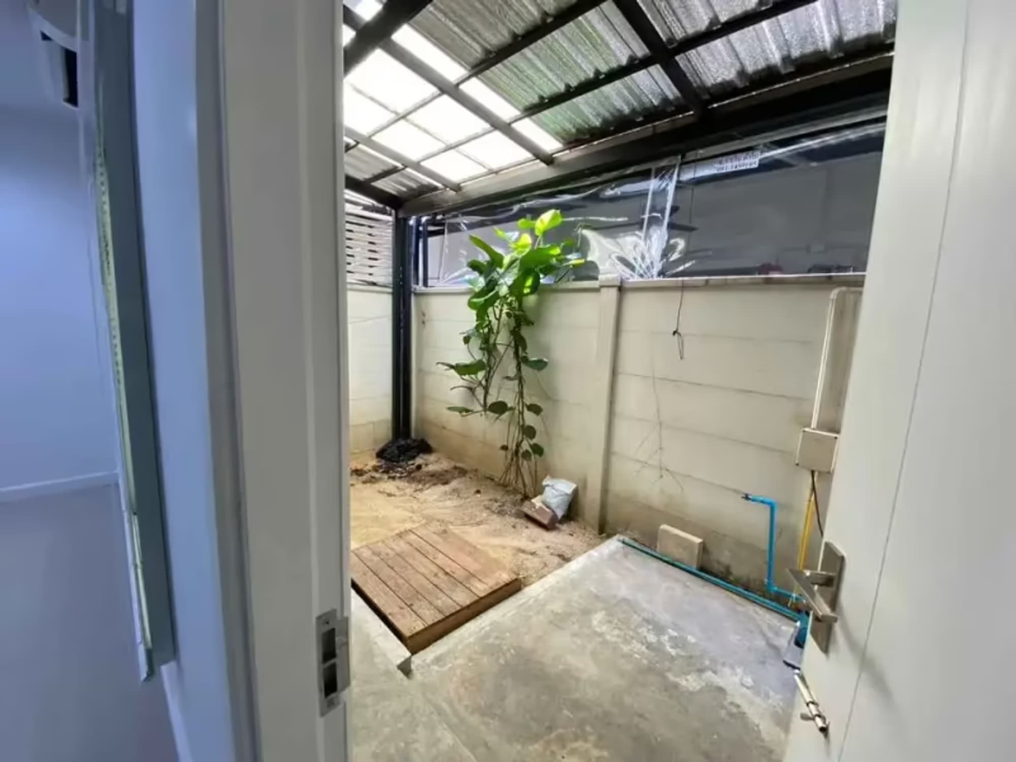  - Image 5