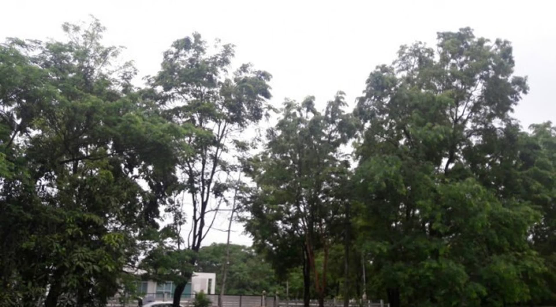  land 用于 出售 在 Hang Dong District - Image 5