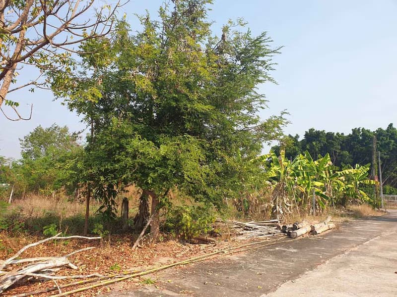 Discover the perfect plot for your dream home. 