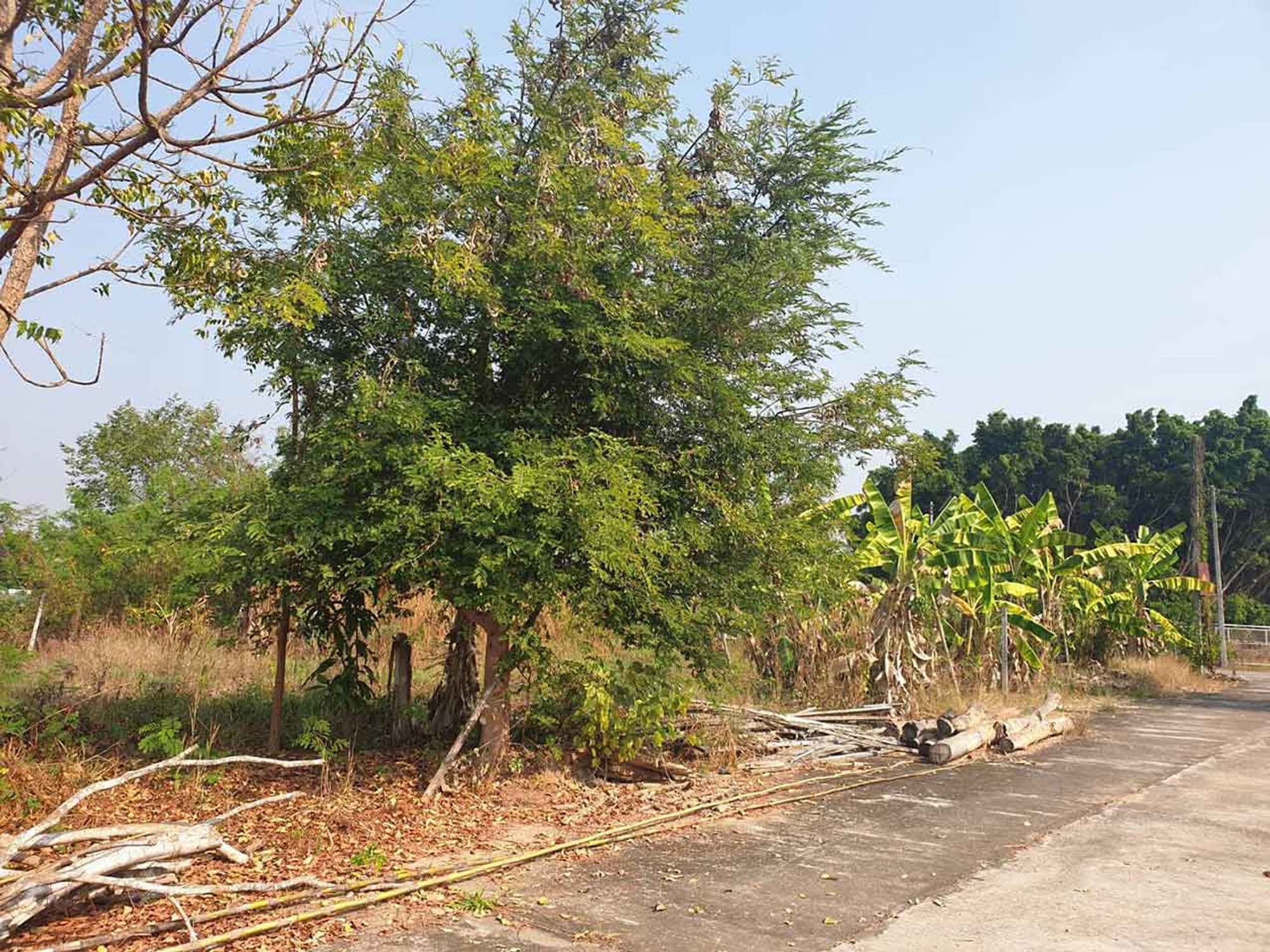 Discover the perfect plot for your dream home.  - Image 2