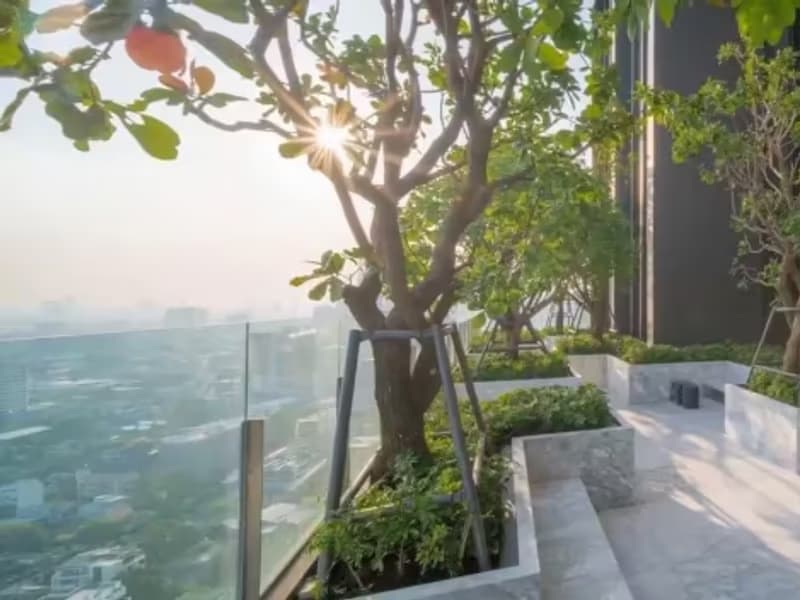 1 Bedroom Condo
