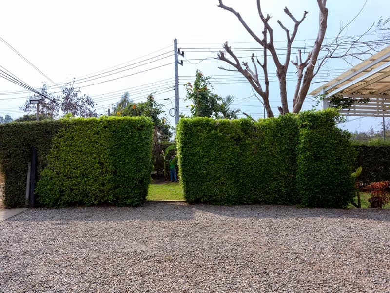 House for Sale/Rent at Dream Cottage. 