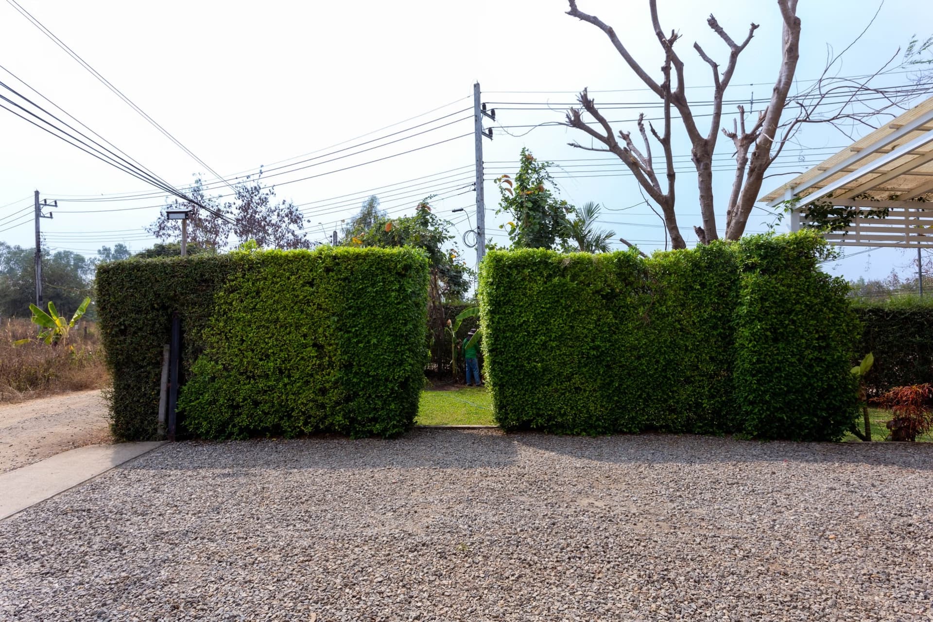 House for Sale/Rent at Dream Cottage.  - Image 33