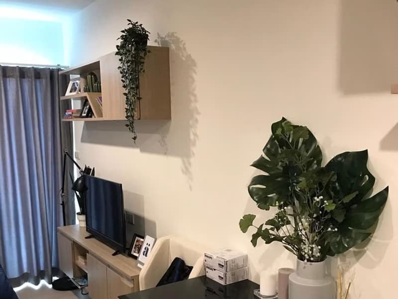 Condo for Rent, Sale at Niche Mono Sukhumvit 50