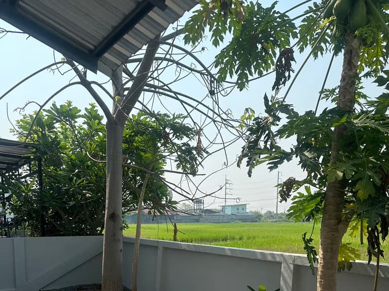 House for Rent at Baan Permsub Hang Dong