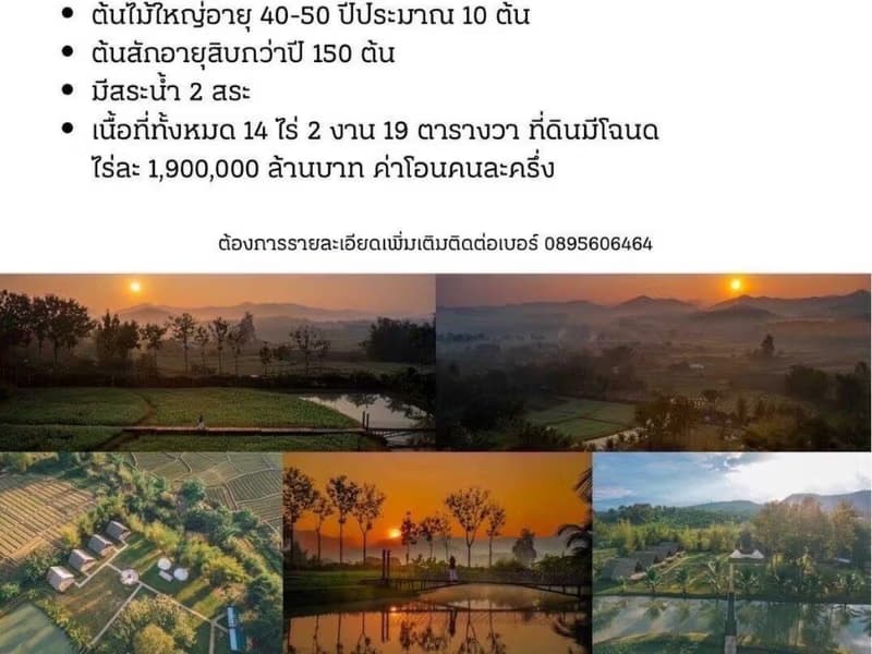  Land for Sale in Chiang Dao District