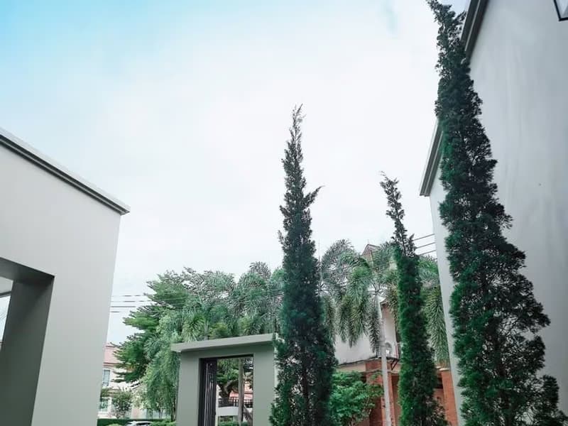4 Bed House for Sale in Mae Rim