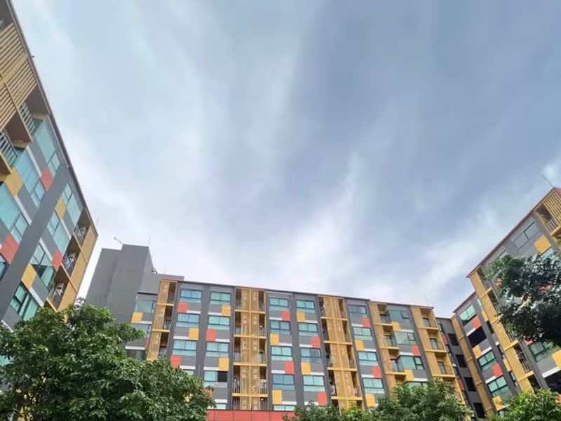 Condo for Rent at Plum  Sukhumvit 97.1