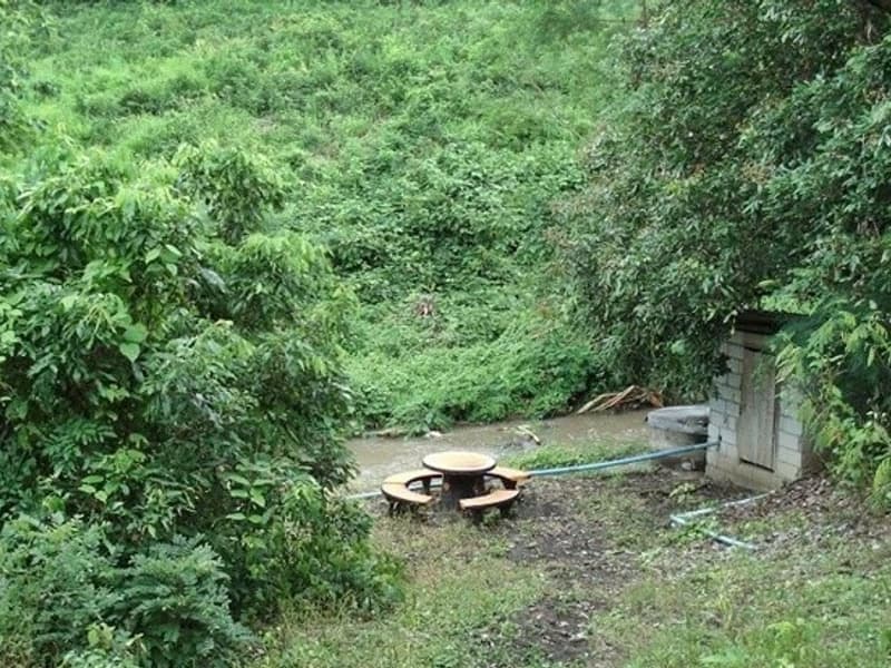  Land for Sale in Mueang Lamphun