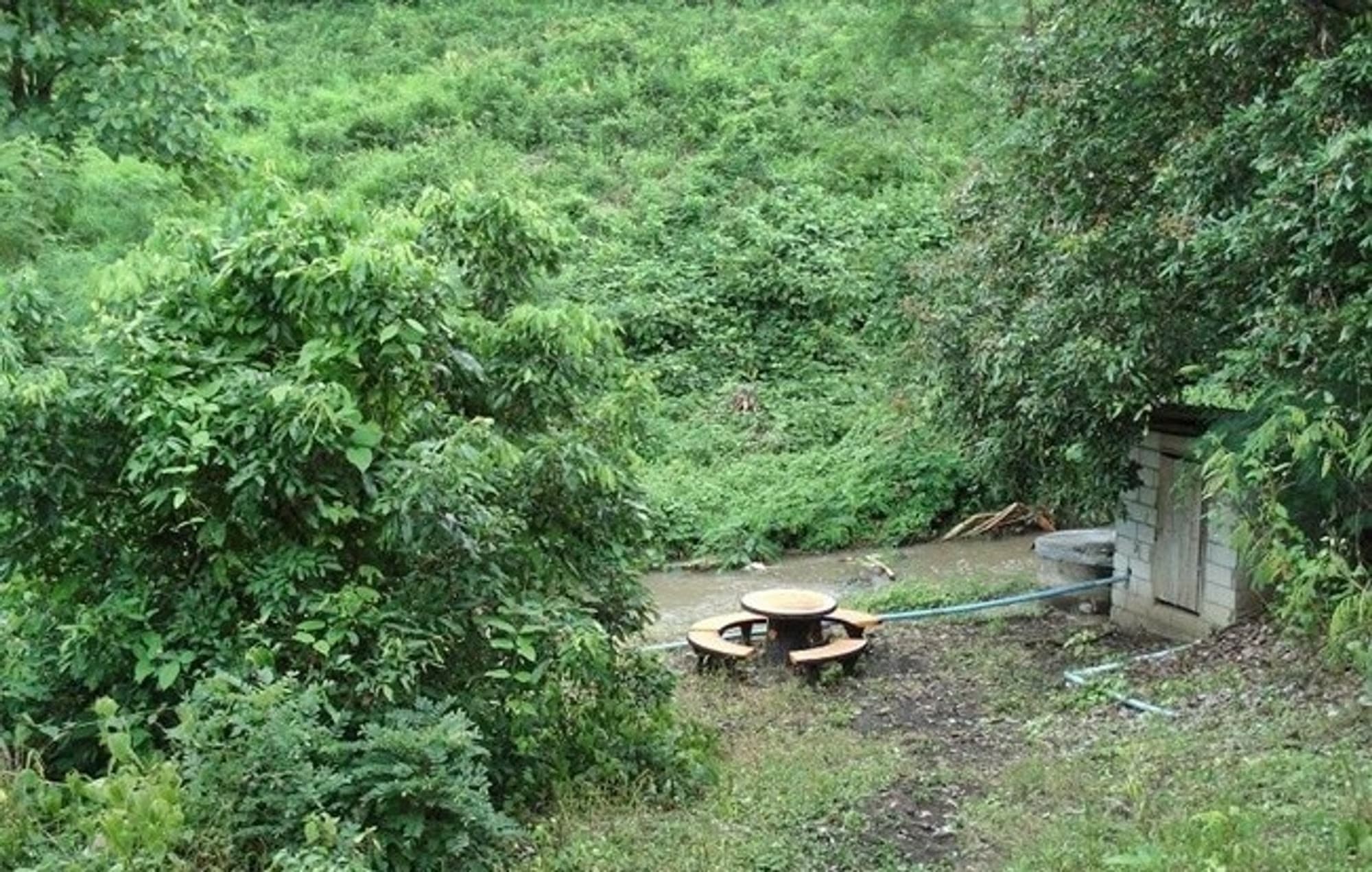  land 用于 出售 在 Mueang Lamphun - Image 6