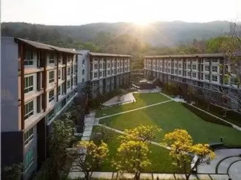 1 Bedroom Condo