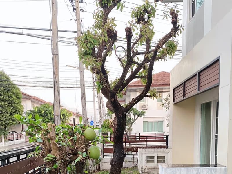 House for Sale in Tha Sala, Mueang Chiang Mai.