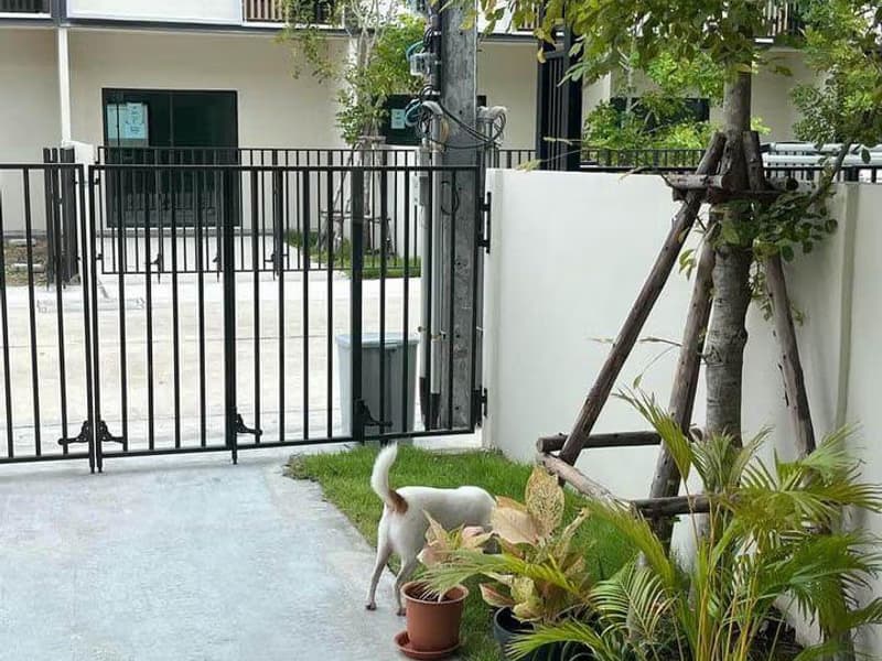 2 Bed Townhouse for Rent in Bang Phli