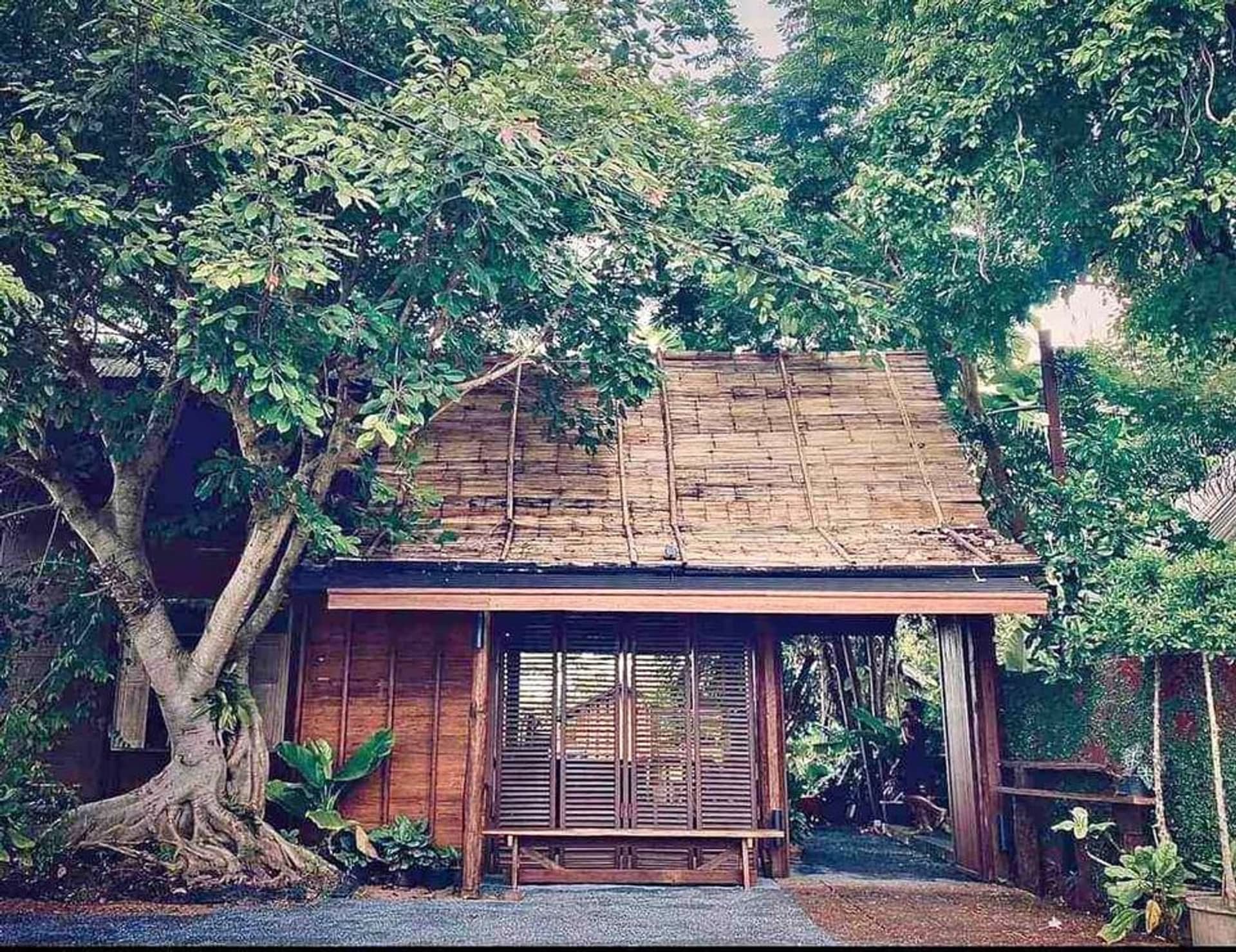 Resort at Sansai For Rent - Image 2