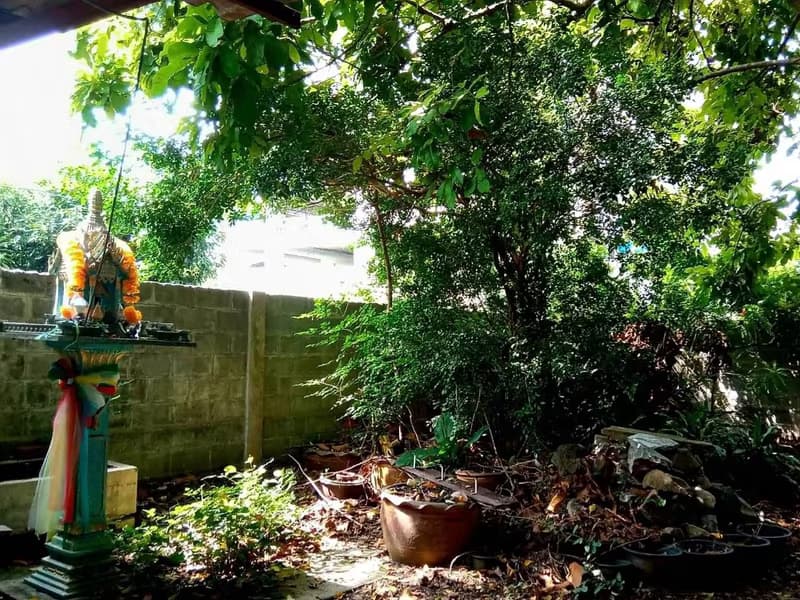 Land for Sale in Phra Khanong