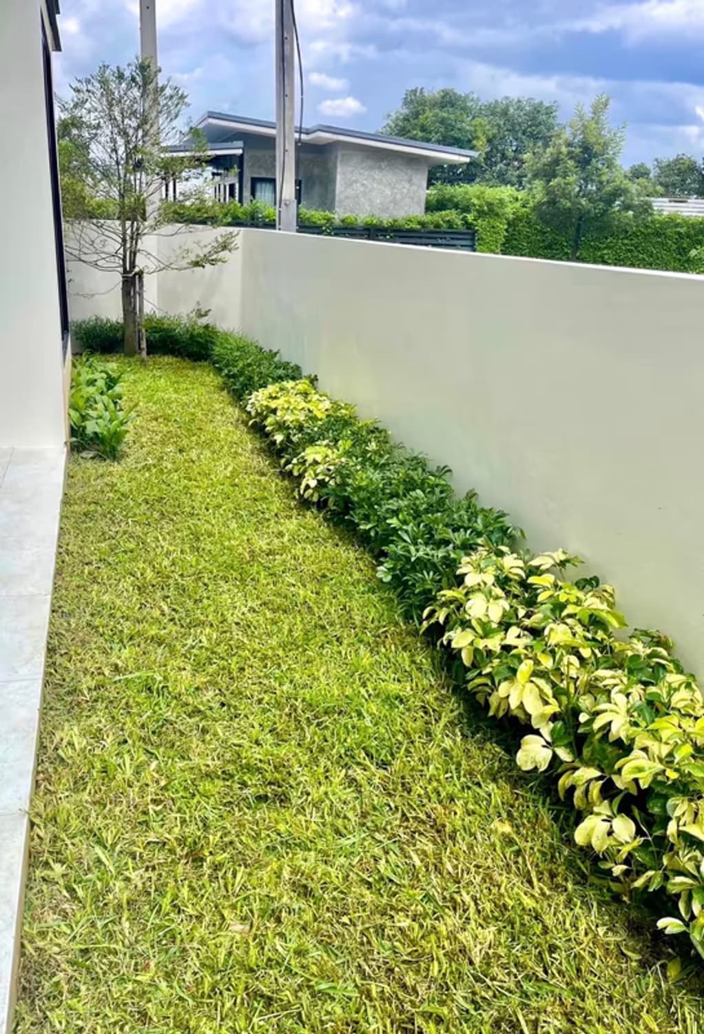 House for Sale in Suthep, Mueang Chiang Mai. - Image 10