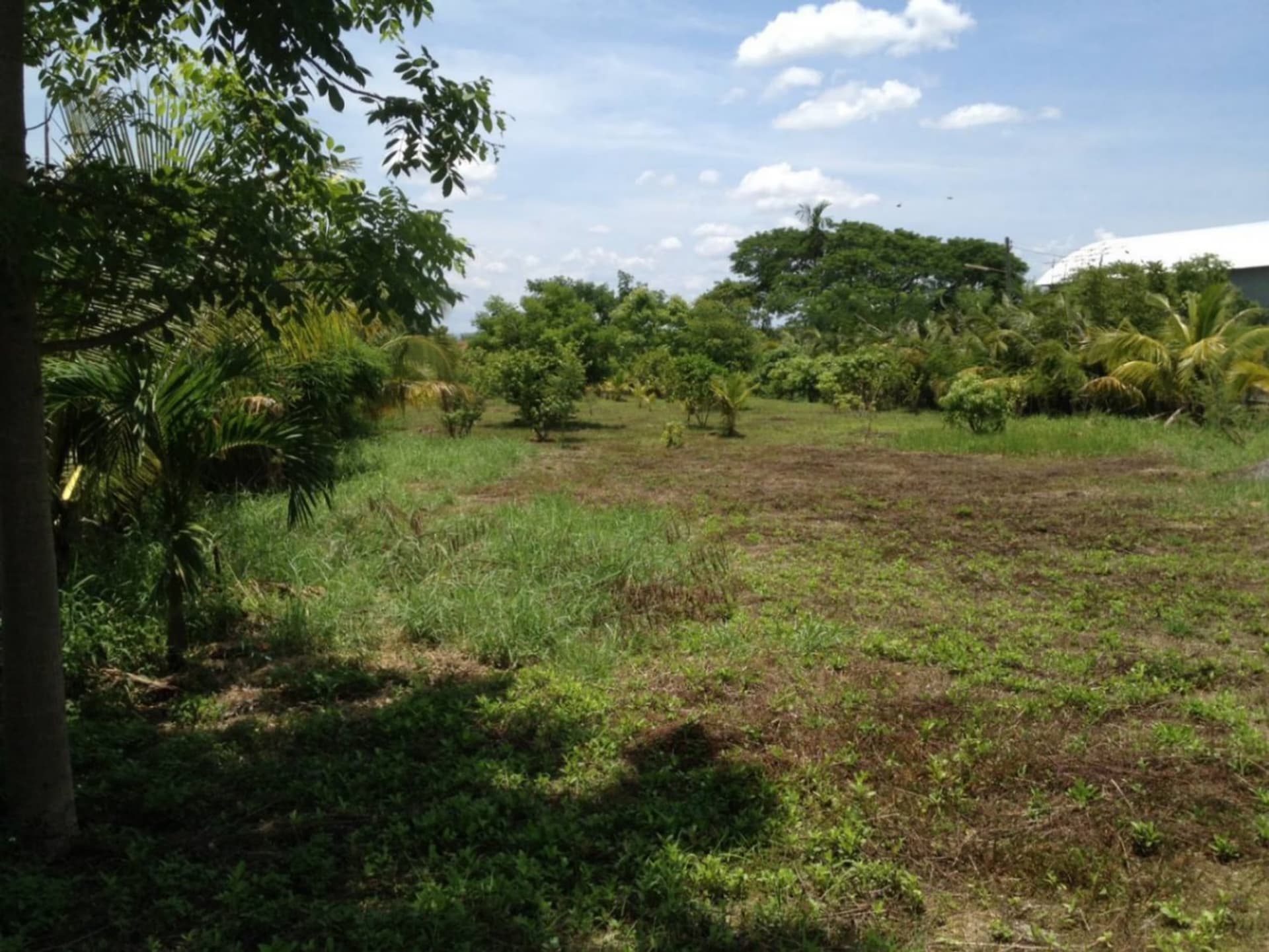  land 用于 出售 在 Saraphi - Image 6