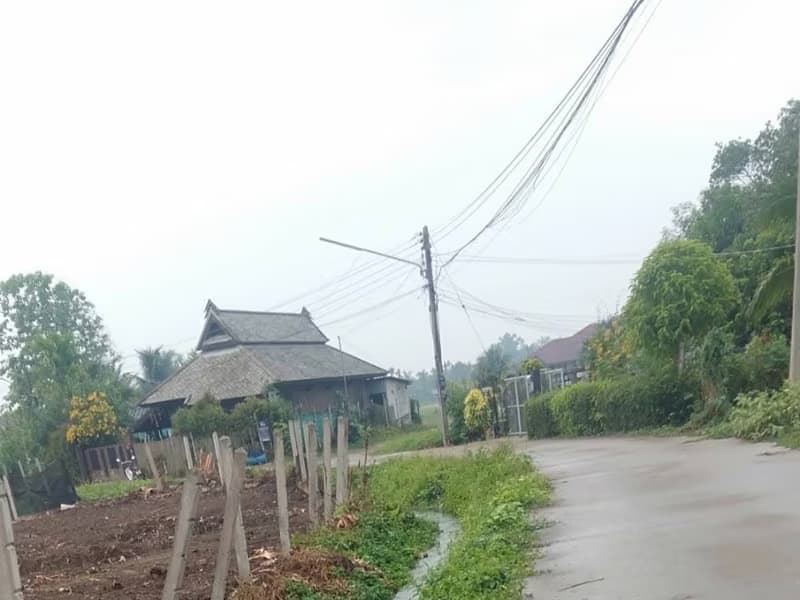  Land for Sale in San Sai