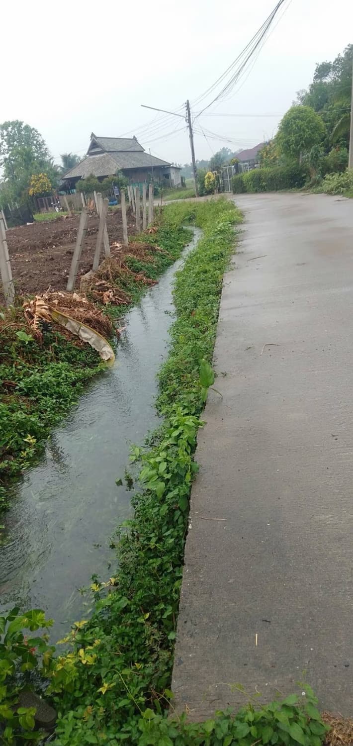  Land for Sale in San Sai - Image 5