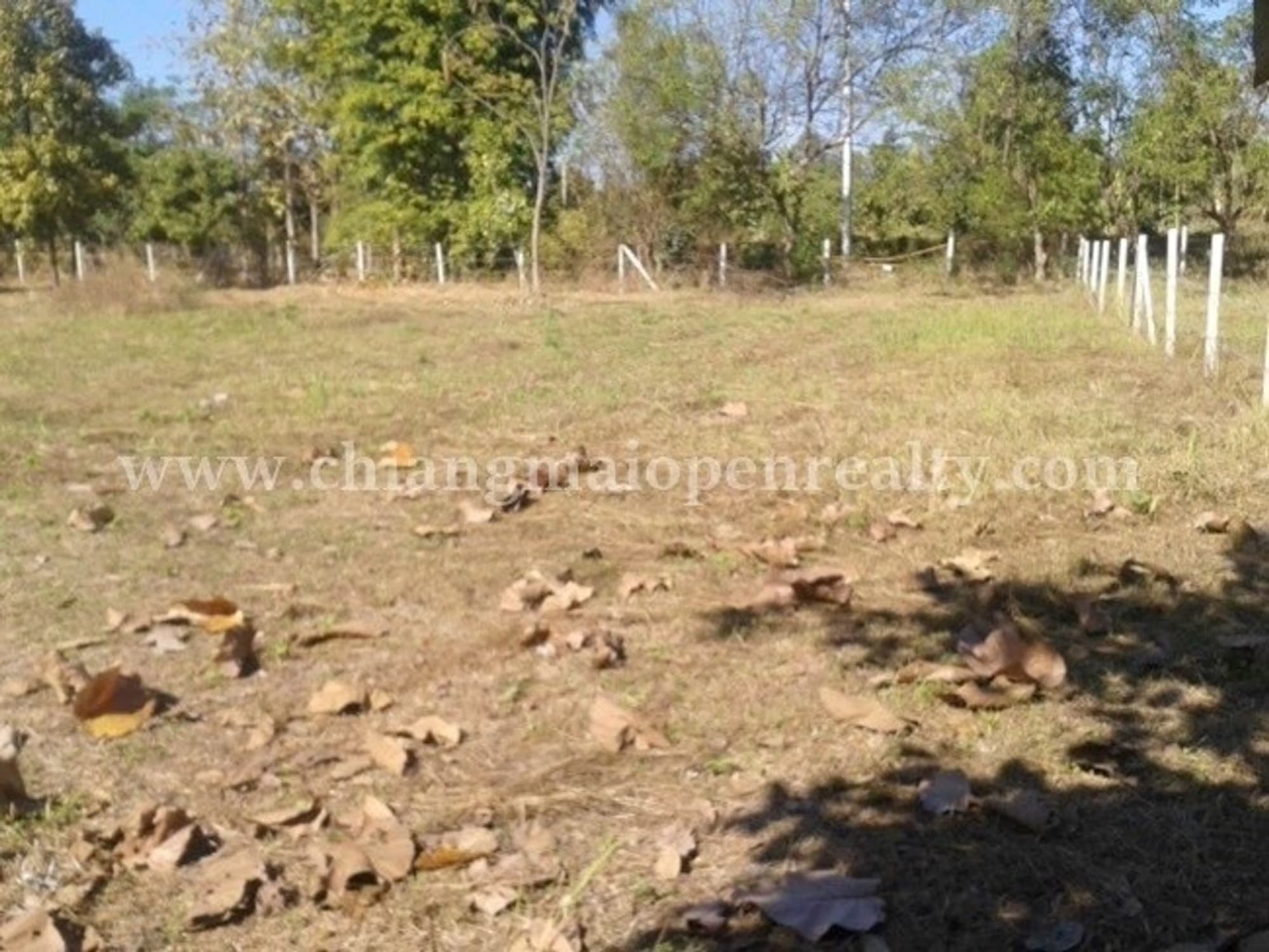  land 用于 出售 在 Hang Dong District - Image 6