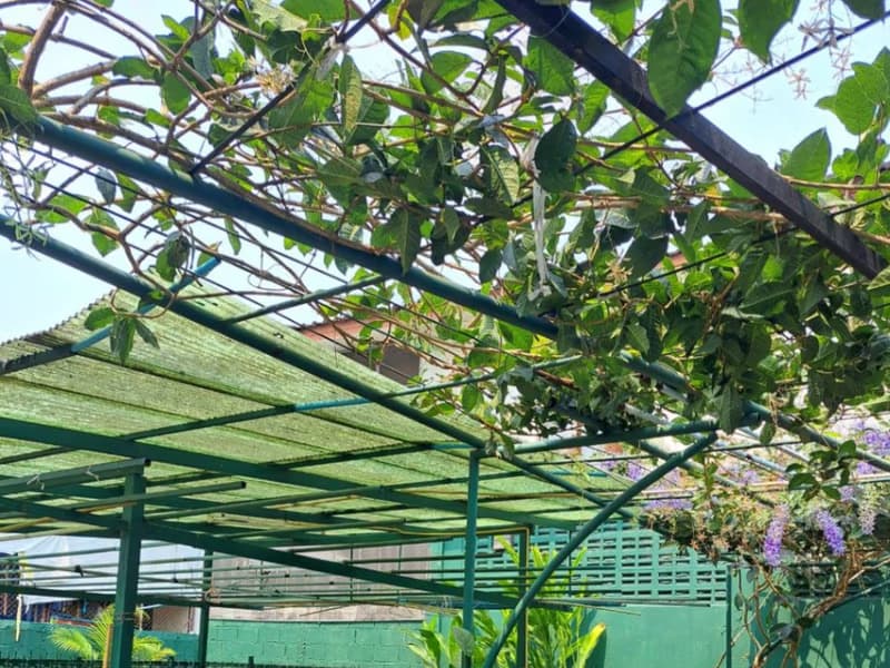 3 Bed House for Rent in Mueang Chiang Mai