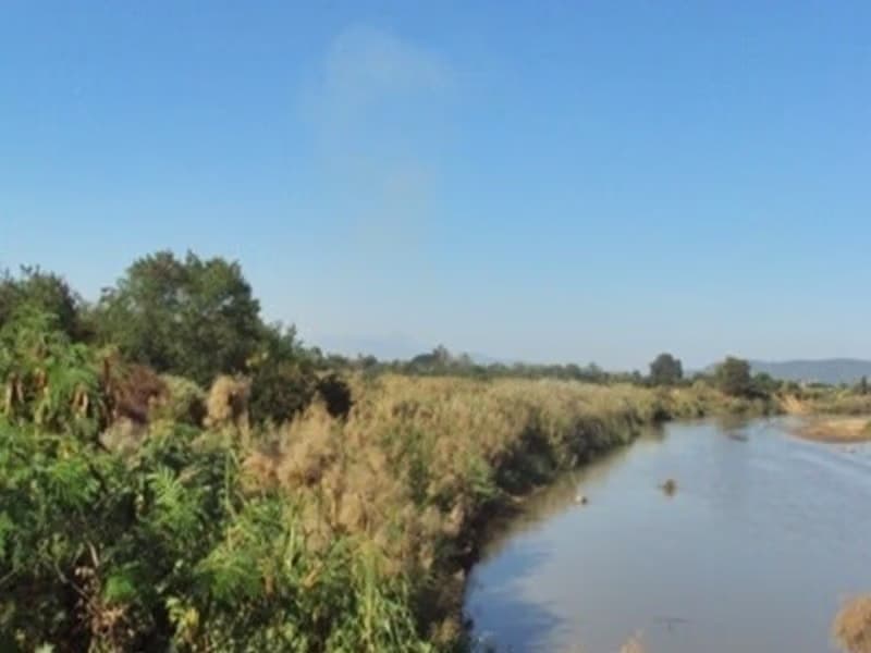  Land for Sale in Mae Rim District