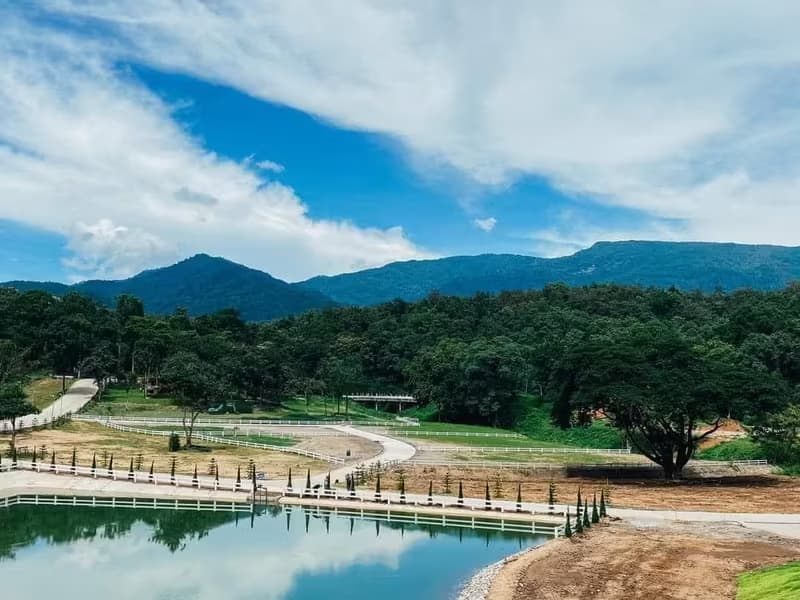 Land for Sale in Pa Pong, Hang Dong