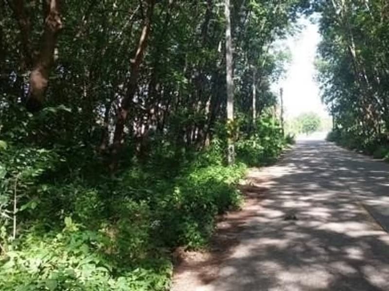  Land for Sale in Si Racha District
