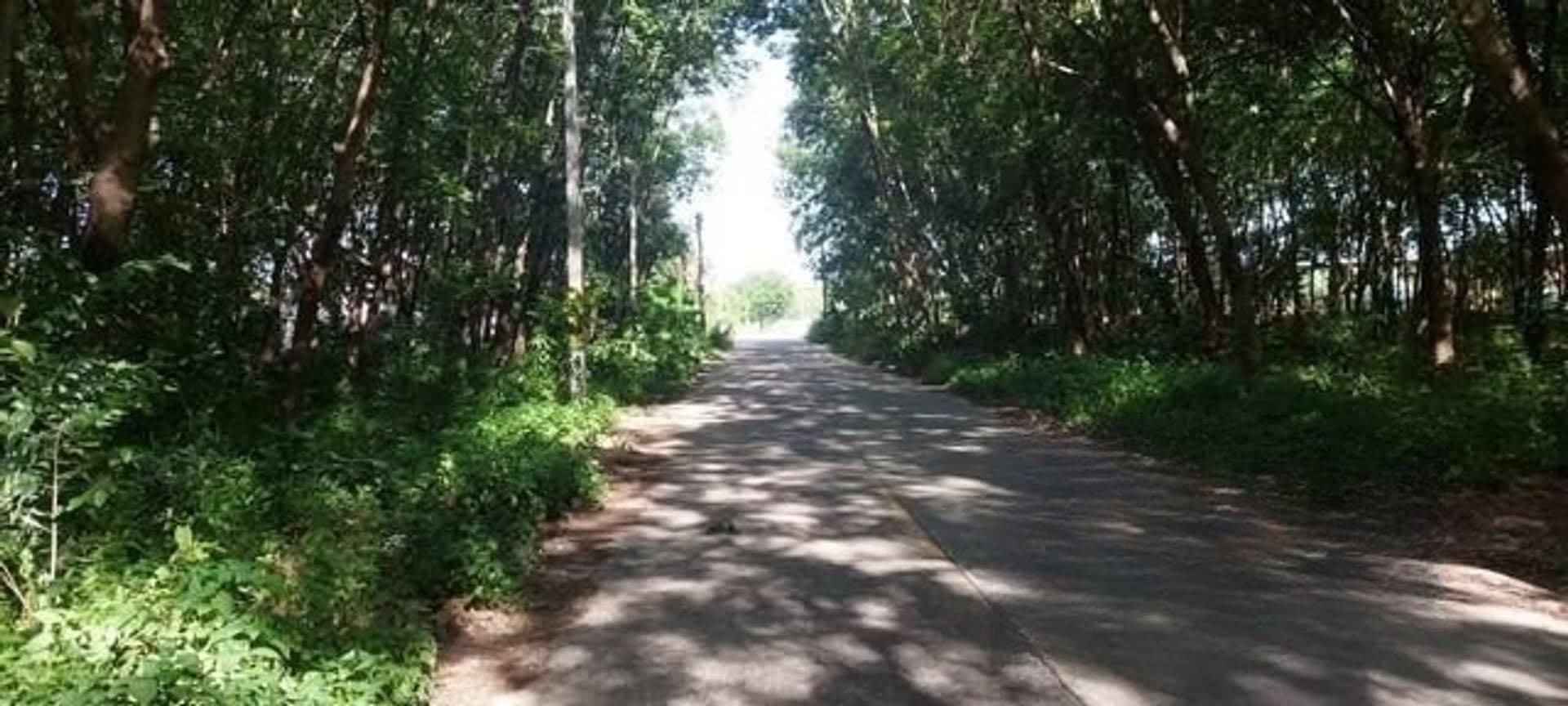  land 用于 出售 在 Si Racha District - Image 5