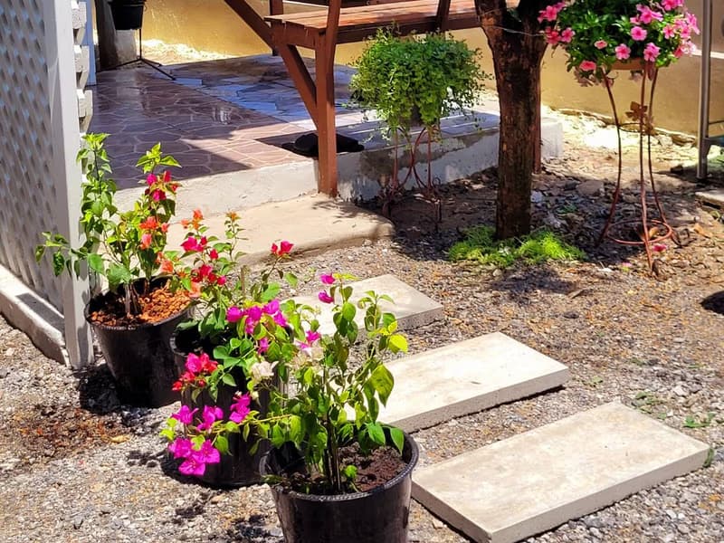 2 Bed House for Sale in Mueang Chiang Mai