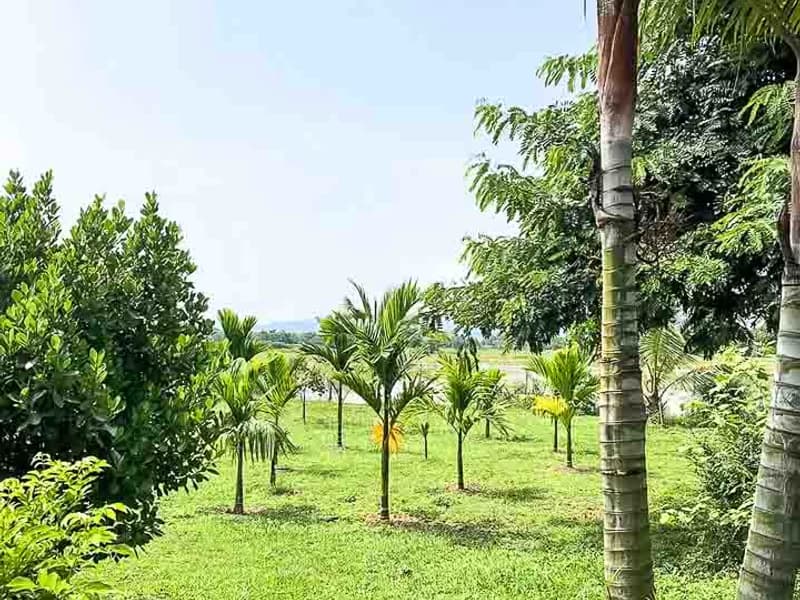 House for Sale in Choeng Doi, Doi Saket.  