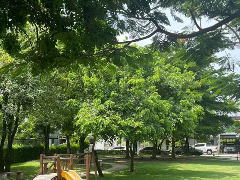  Townhouse for Rent at Vilette Lite
